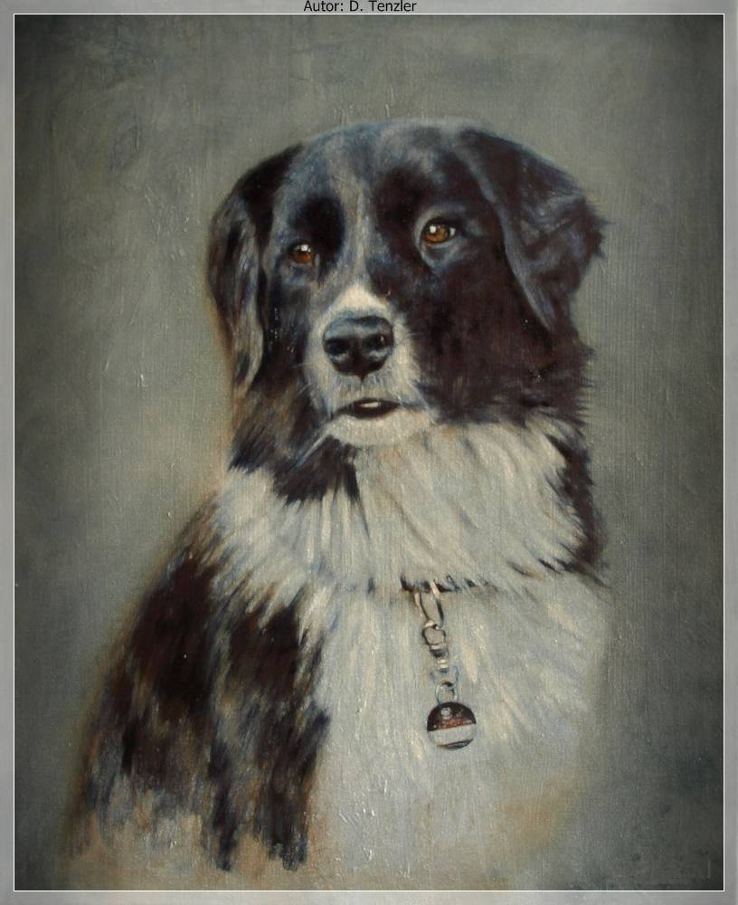 owalo design Hunde Portrait Auf Leinwand
