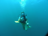 Scuba diving in Martinique