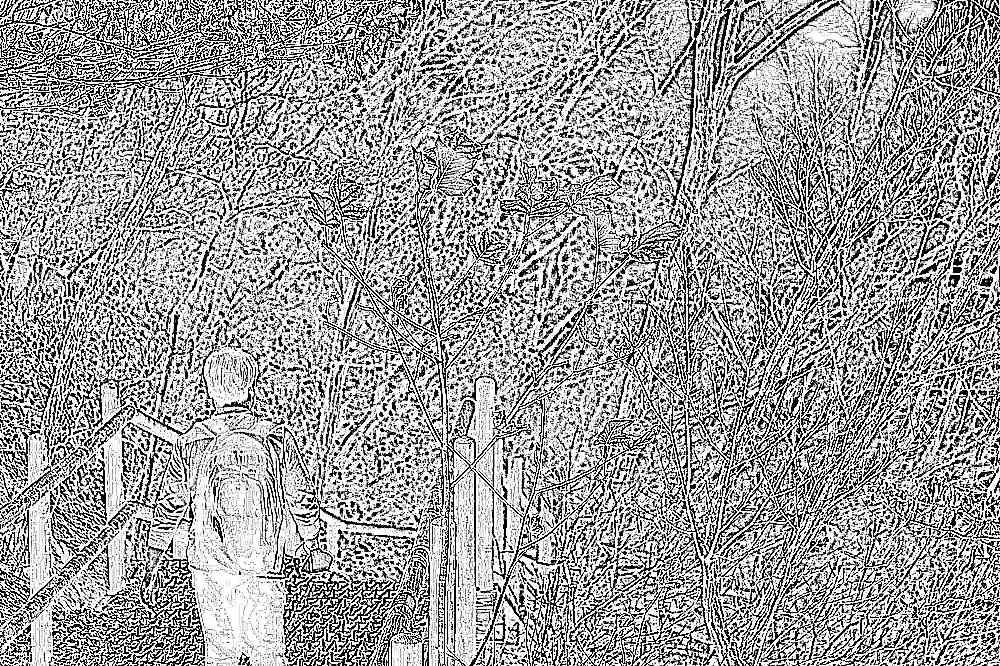 삼각산 도선사 삼각산 도선사