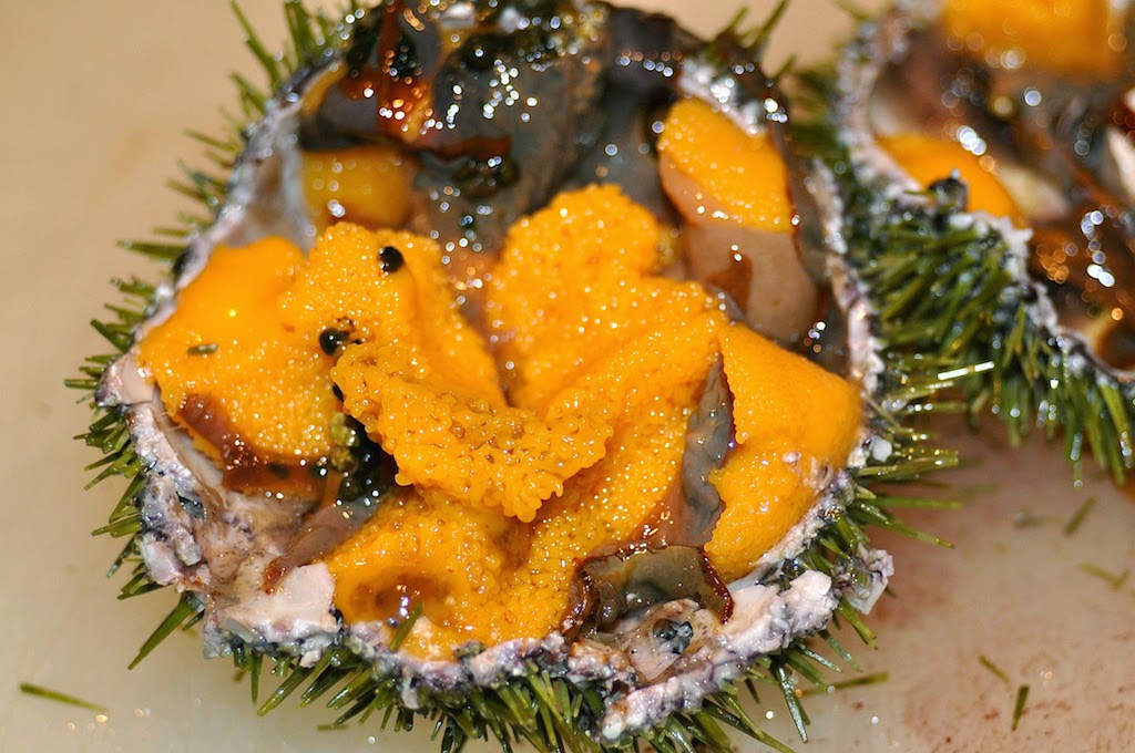 Mister Meatball Fresh Maine sea urchin