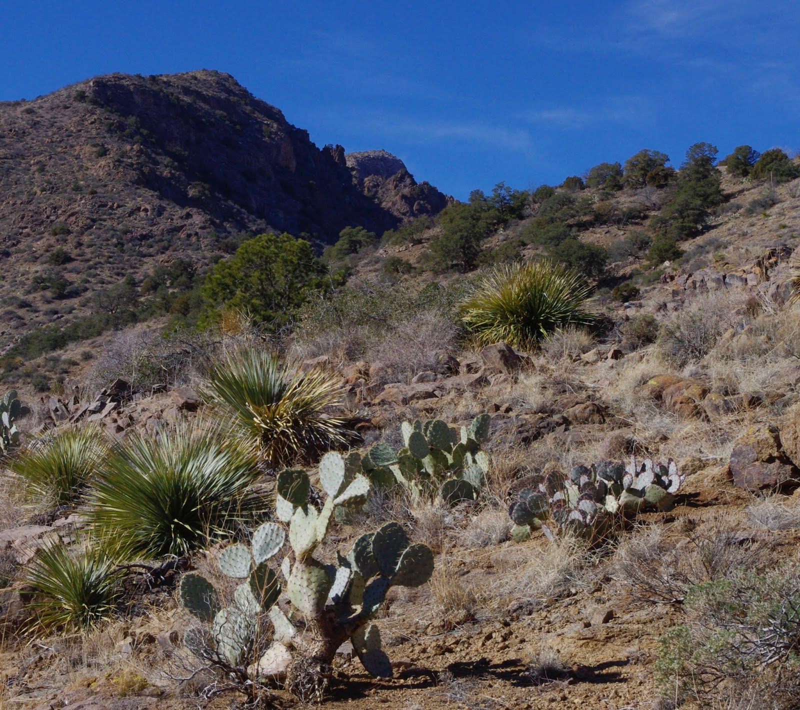 Southern New Mexico Explorer Florida Mountains Florida Mountains WSA