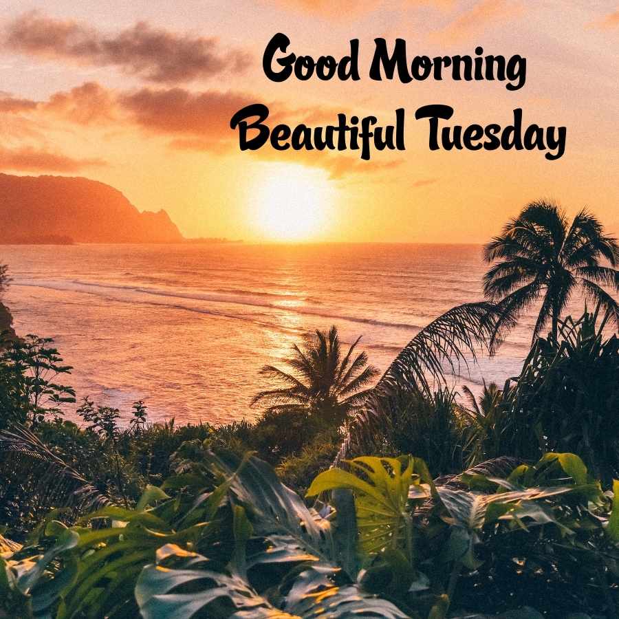 happy tuesday good morning