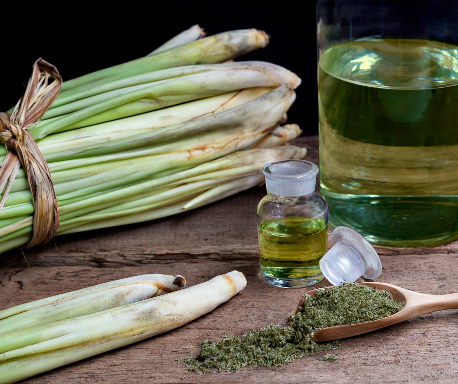 Prepare lwil Sitwonèl pou Cheve w rete An Sante Prepare lwil Sitwonèl pou Cheve w rete An Sante