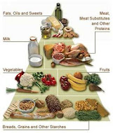 Foods Pyramid