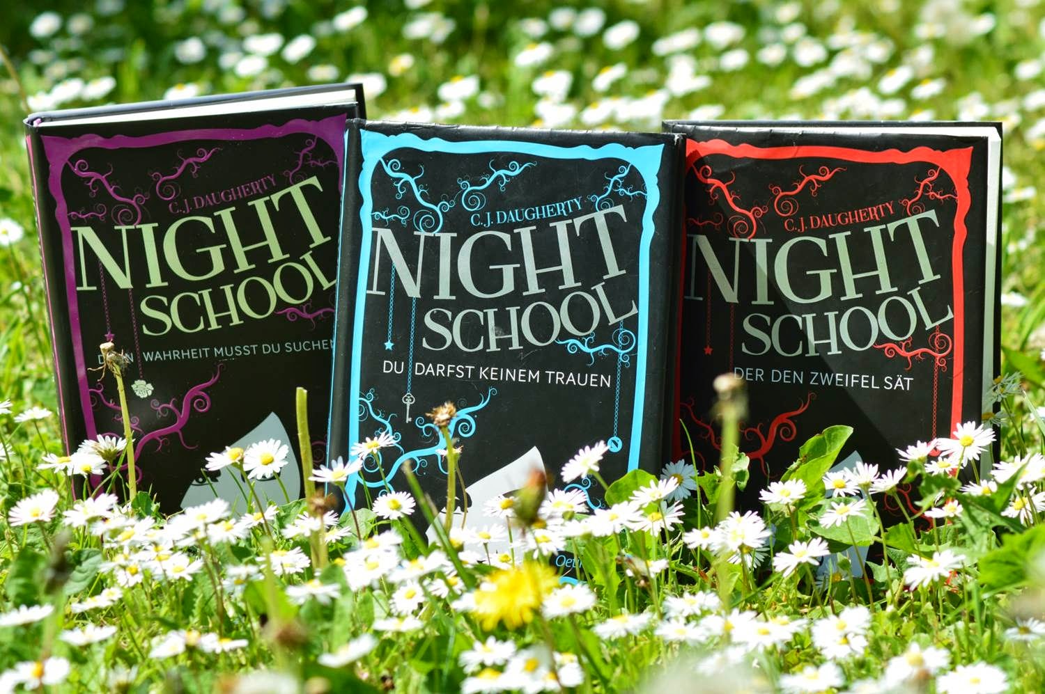 Night School Blog 2014
