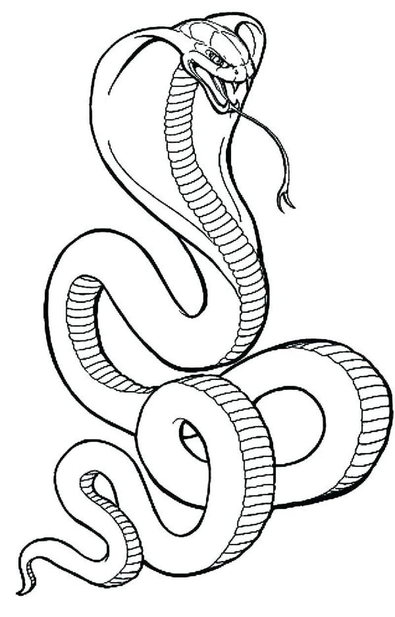 Desenhos de Cobras para Colorir - Curso Completo de Pedagogia