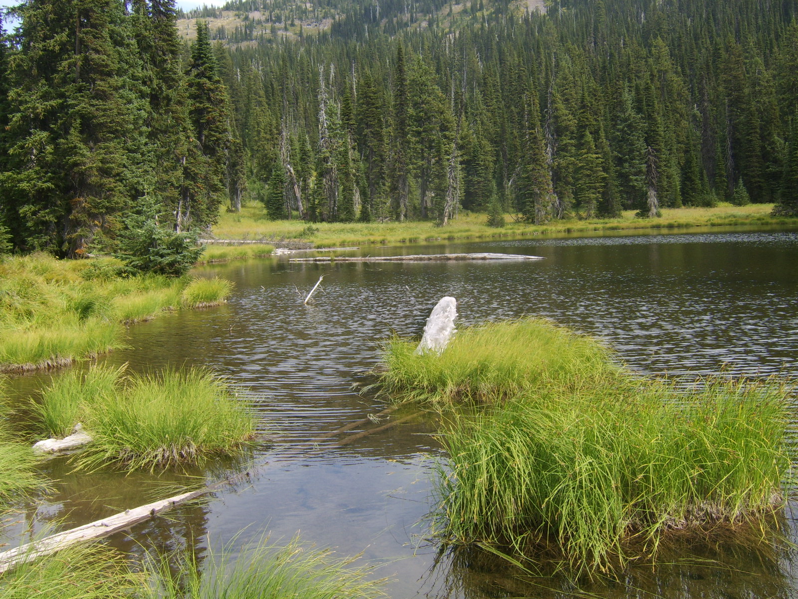 Adventuring On Moose Lake, Moose Mountain & Blacktail Lake in Idaho