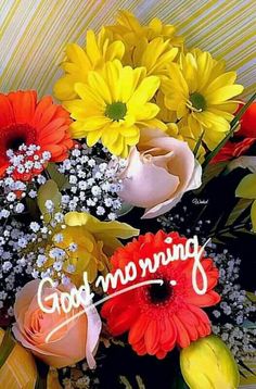 good morning flower images