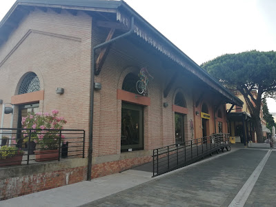 Spazio Pantani Cesenatico il museo dedicato al Pirata