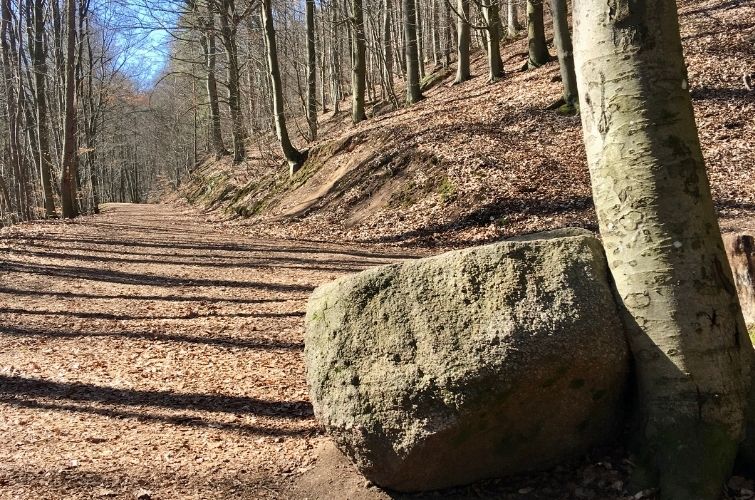 Felsiger Odenwald - Weg zum Rodenstein Felsblock am Wanderweg