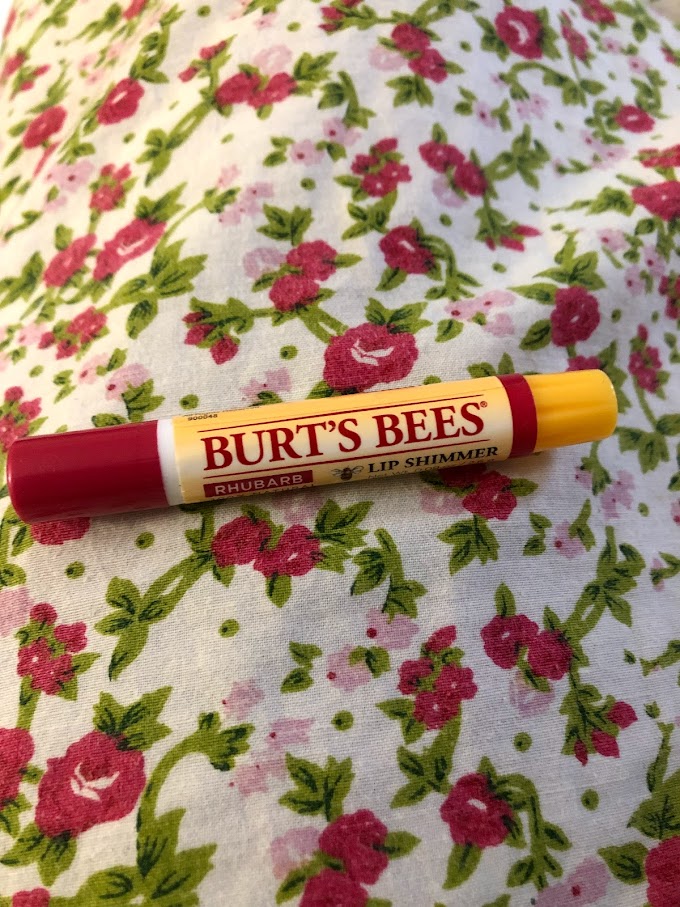  BURT'S BESS LIP SHIMMER / LIB  BALM FOR WINTER 