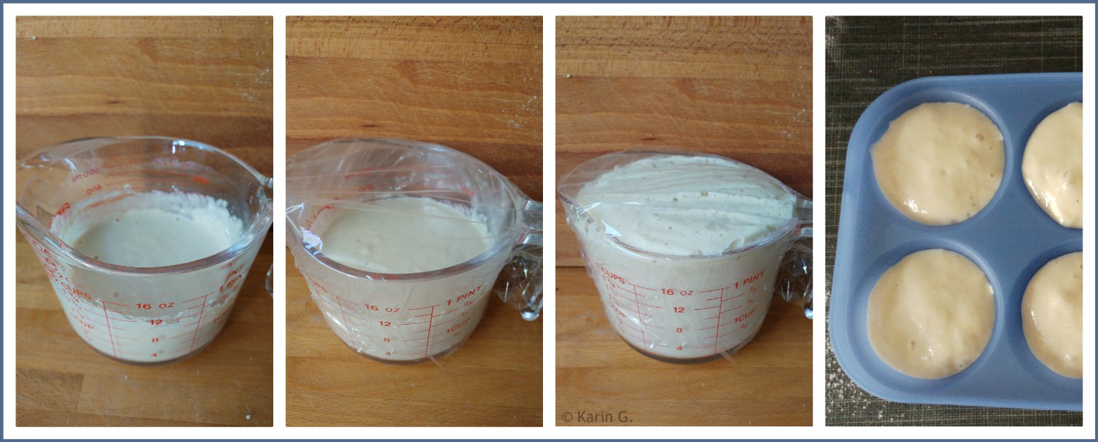 ich hab da mal was ausprobiert: Hefe vermehren für den Vorrat