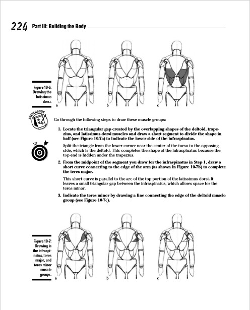 [ENG] Figure Drawing for Dummies | Free Artbooks and Drawing Tutorial