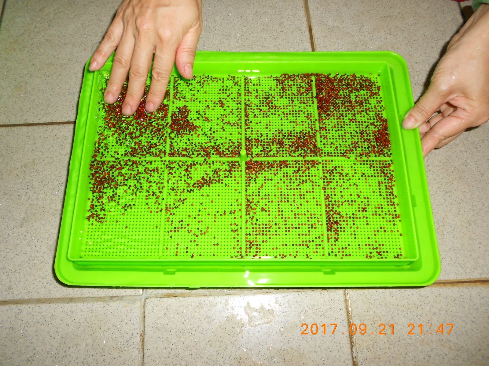 �����R,�����R��,���Ⱚ�R��,������ŵ�,�����R��i,�����R����i,�����ŵ��ܦ�,�����ŵ浵���ߵ�,�����R��