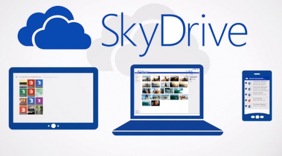 skyvu drive in skyvu drive in