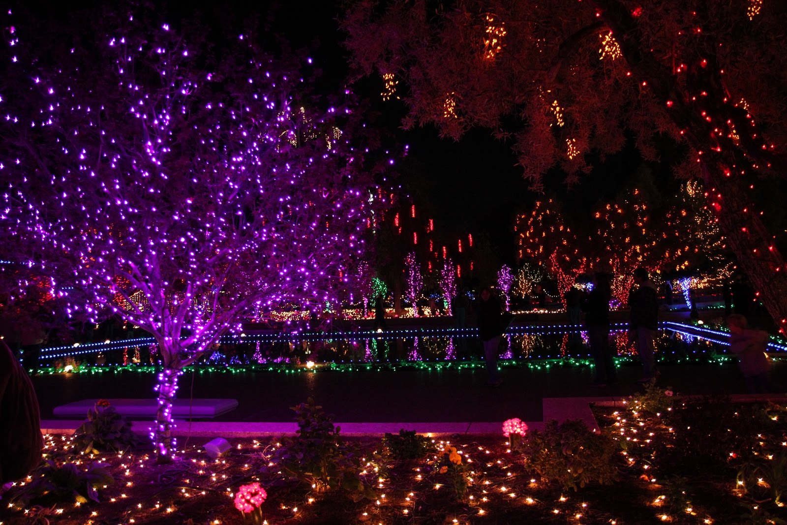 J Dub and Lady D: Beautiful Christmas Lights