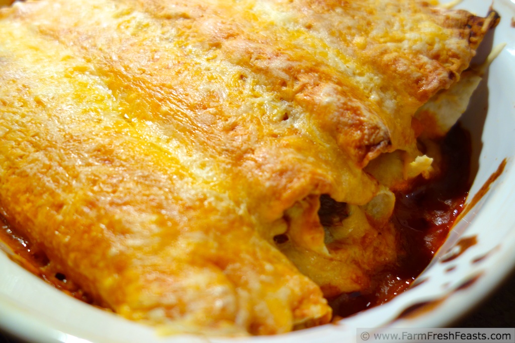Farm Fresh Feasts ZucchiniRefried BeanCorn Enchiladas (cooking from