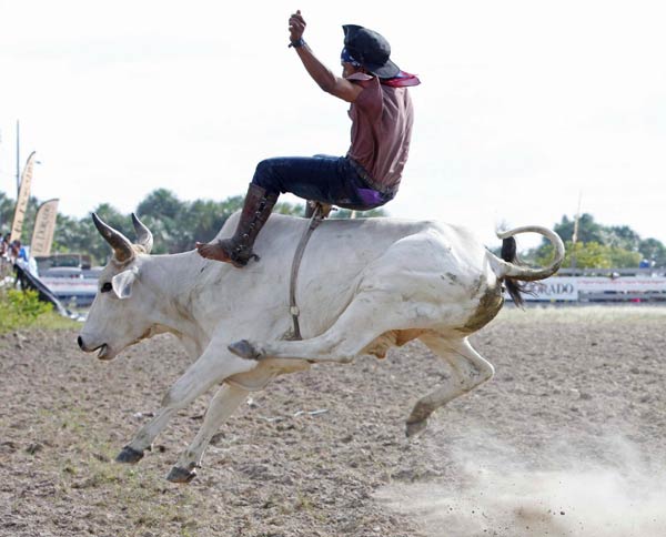Attractions in Guyana: Rodeo in Lethem