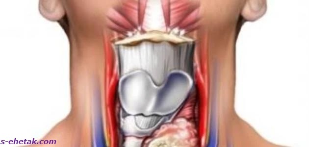 اعراض الغدة الدرقية وطرق العلاج