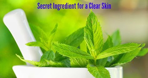 Mint Face Pack for Acne: The Secret Ingredient for Clear Skin