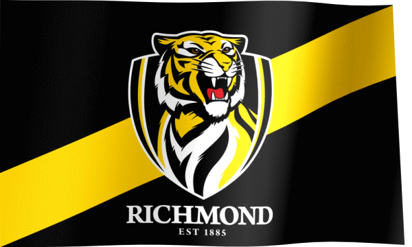 Richmond Football Club Flag GIF - All Waving Flags