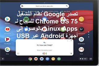 تصدر Google نظام التشغيل Chrome OS 75 للسماح لـ Linux Apps بالوصول إلى أجهزة Android عبر USB