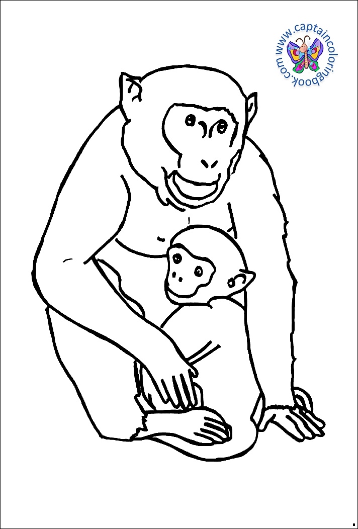 Coloring book pdf download