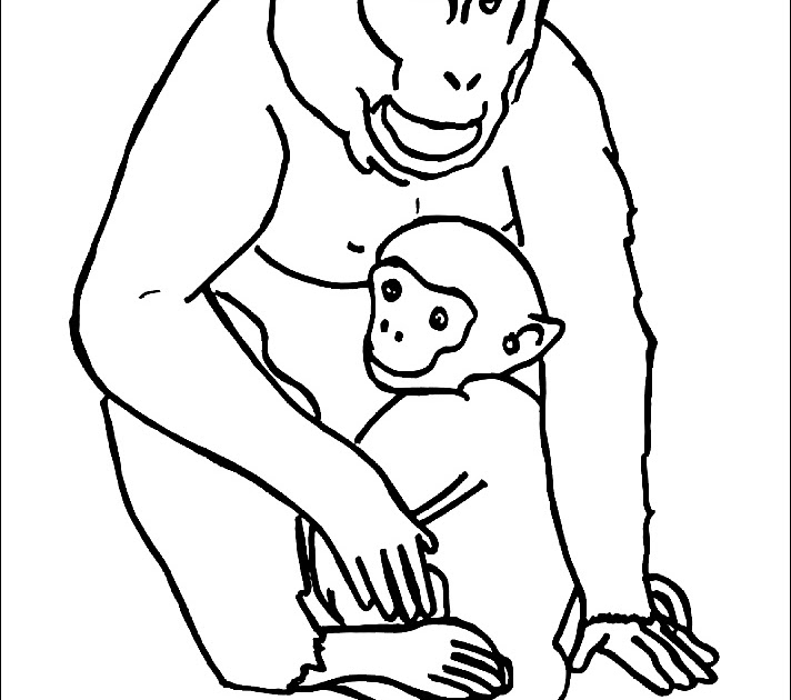 Coloring book pdf download