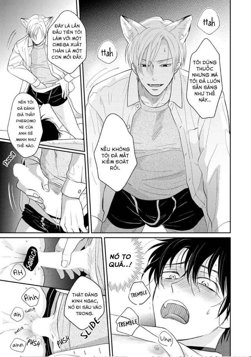 Đọc truyện To Make A Delicious Omega Squeak (Hanasawa Namio) - Chapter 1