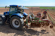 We will get Tempranillo wine in a few years. New planting vineyards / Tendremos vino tempranillo en unos años. Nueva plantación de viñedo