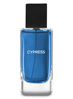 Bath & Body Works Cypress Cologne