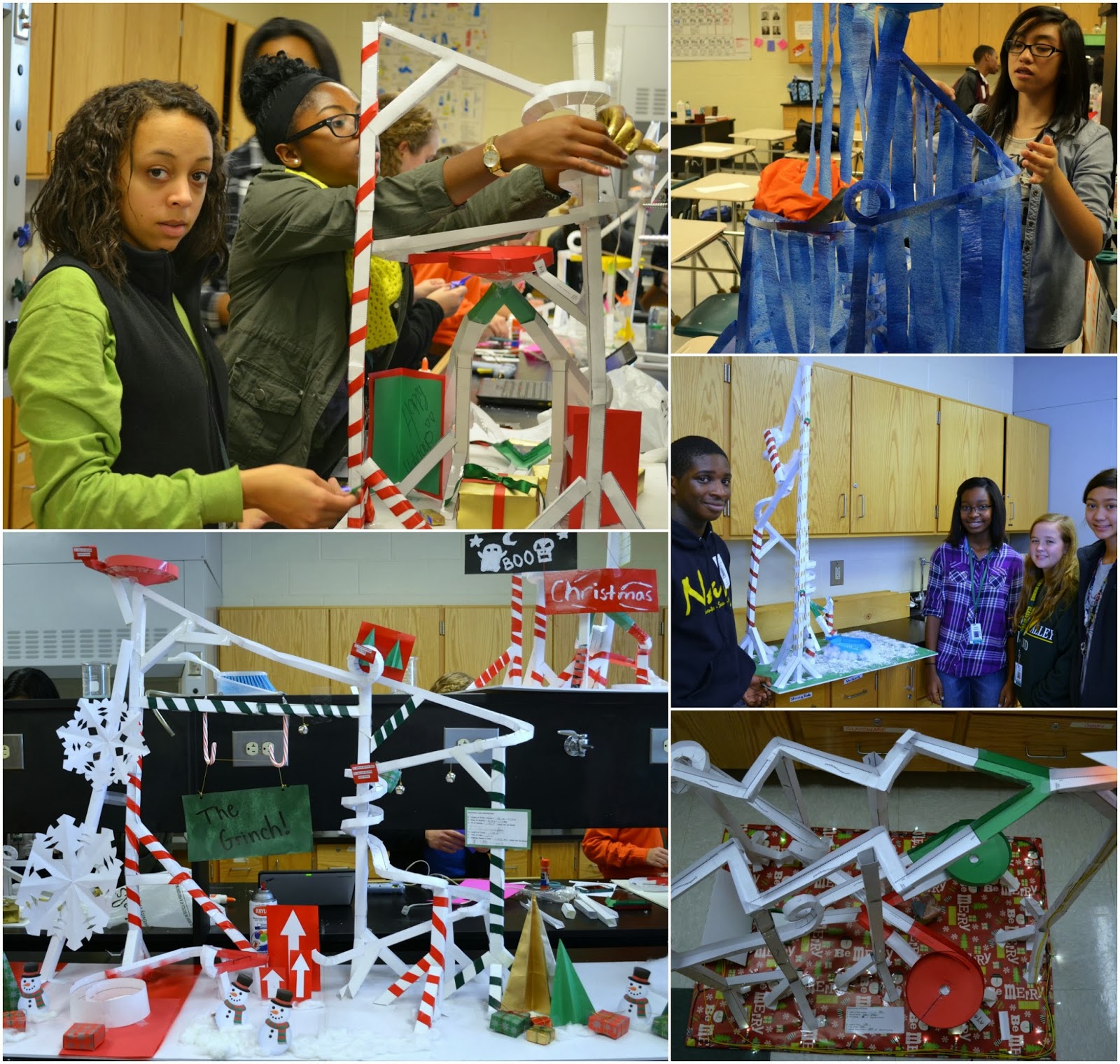 How much does a roller coaster cost picture