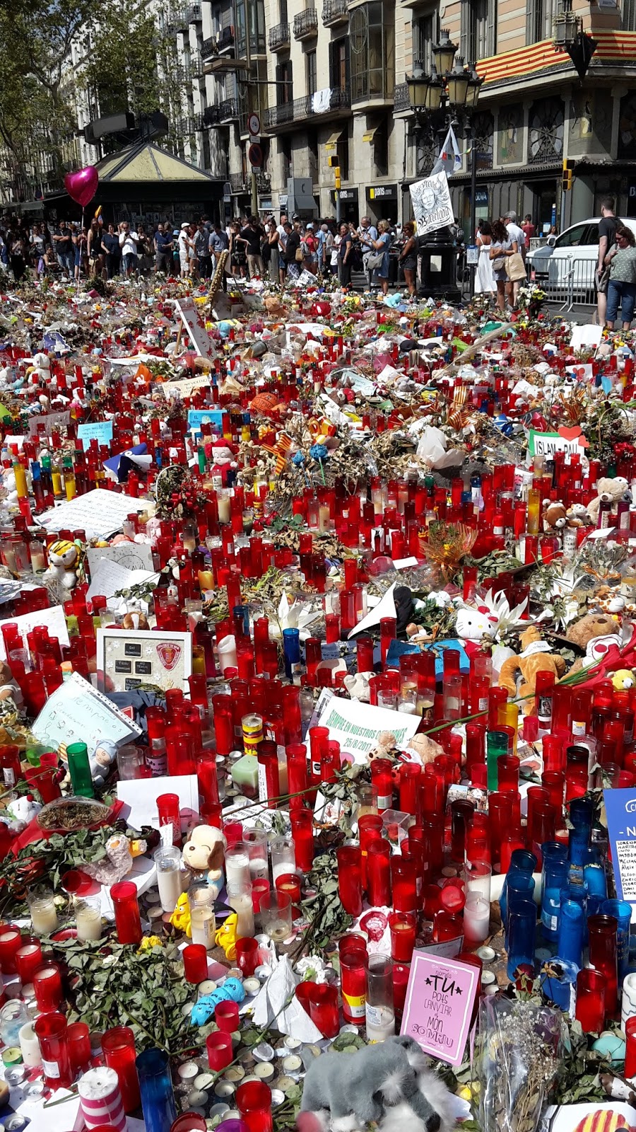 dominique knitting Barcelona