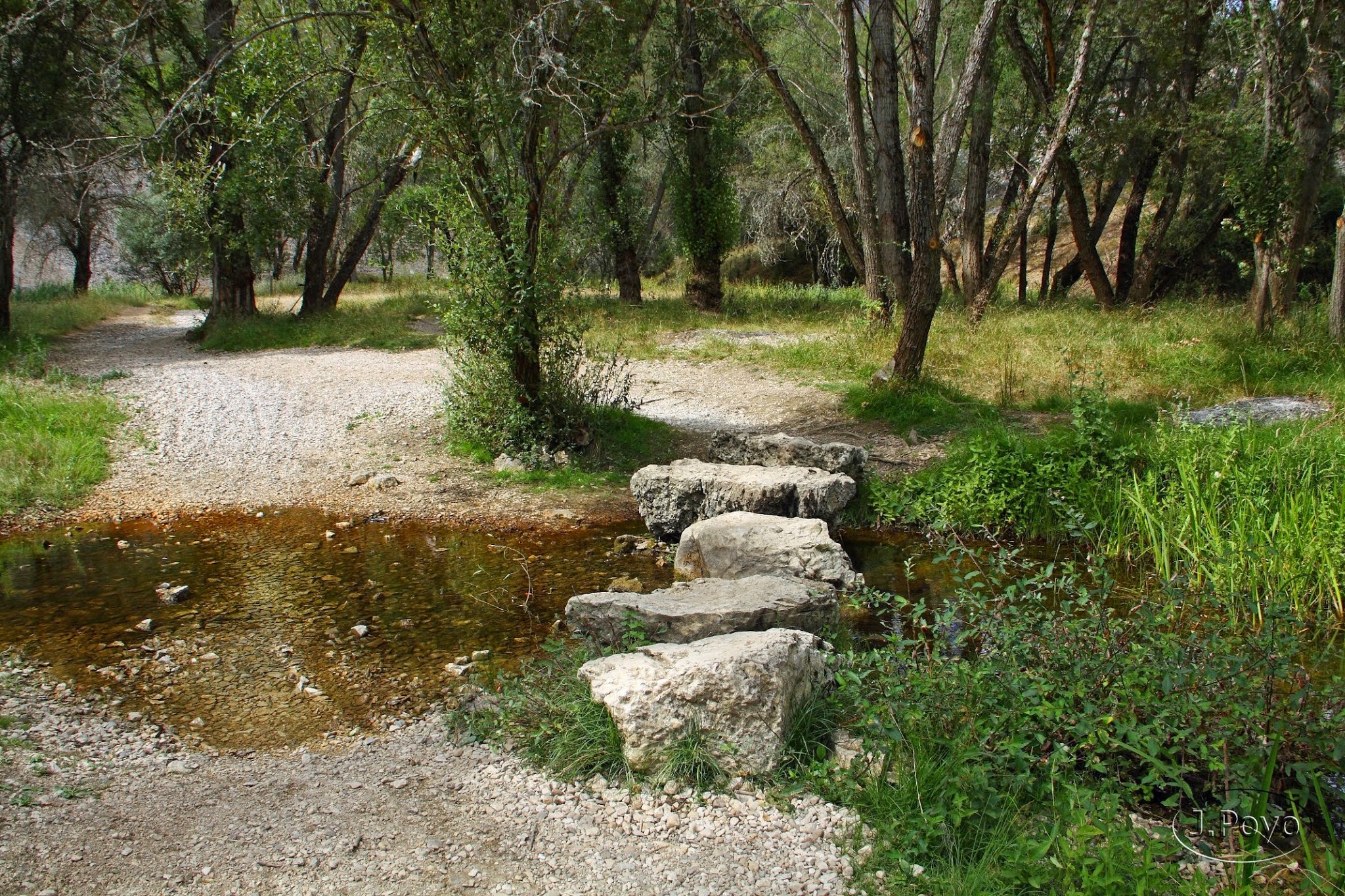 Cañón del río Lobos