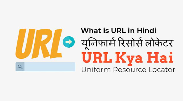 what-is-url-in-hindi-study-portal