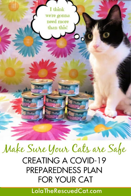 covid-19 preparedness plan for your cat