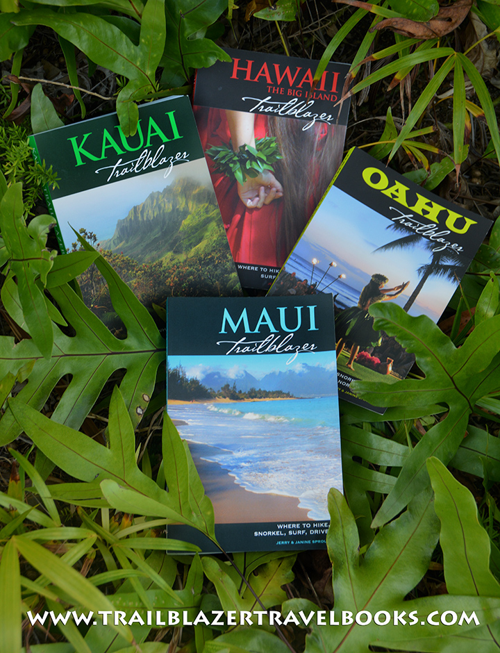 best travel book hawaii
