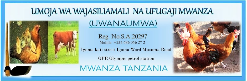 Umoja Wa Wajasiliamali na Ufugaji Mwanza (uwanaumwa)