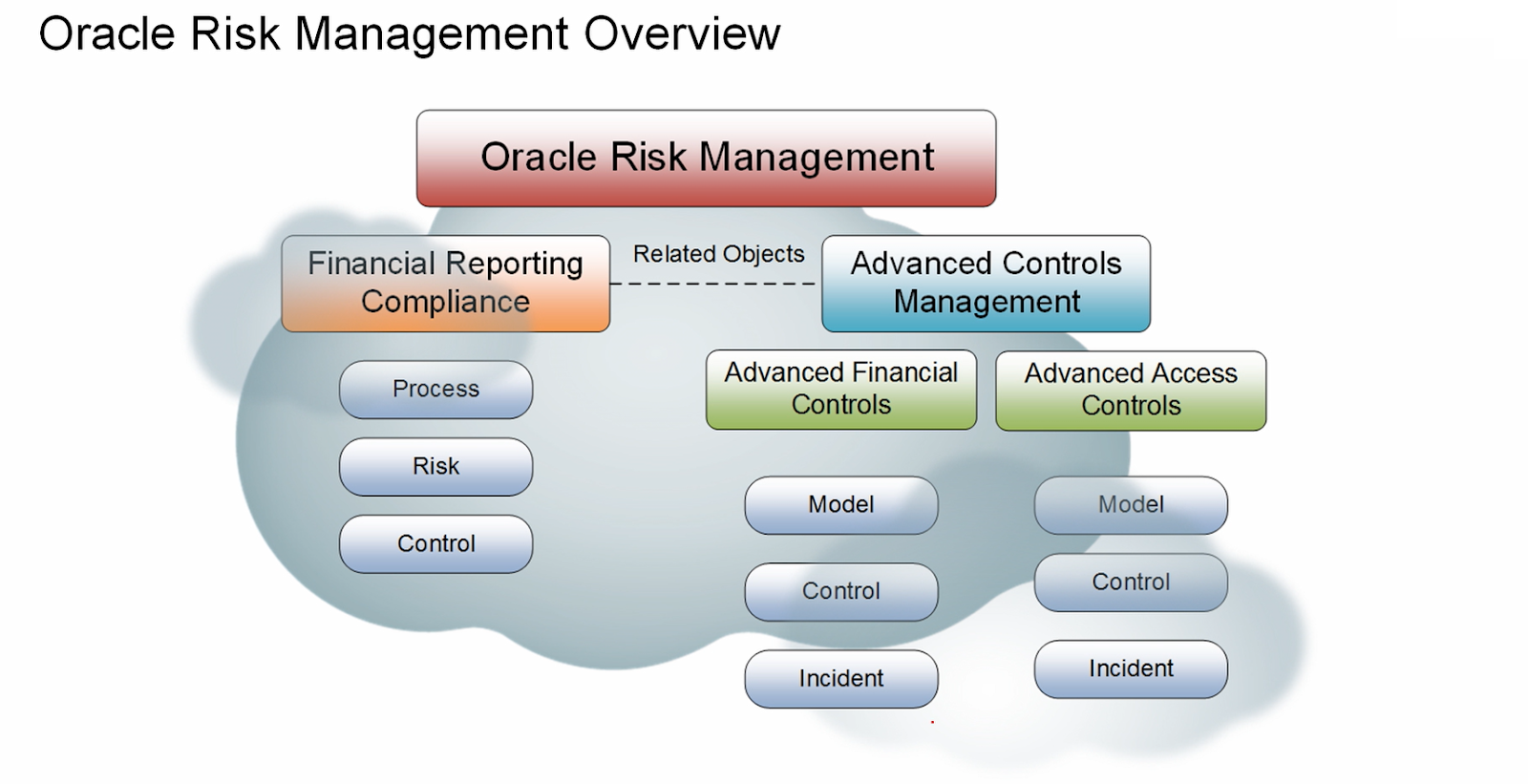 oracle risk manager