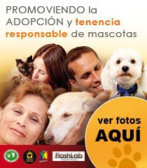 CONCIENCIA ANIMAL