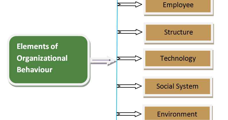 The Fundamental Elements Of Organizational Behavior Ob Business Consi The Fundamental Elements Of Organizational Behavior Ob Business Consi