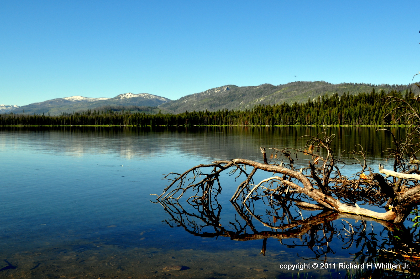 What Am I Doing? Back From Camping At Warm Lake, Idaho