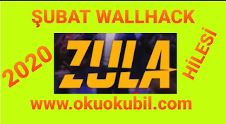 Zula ŞUBAT Wallhack Ve Chams Hack Hilesi Bansız Fixsiz İndir 2020