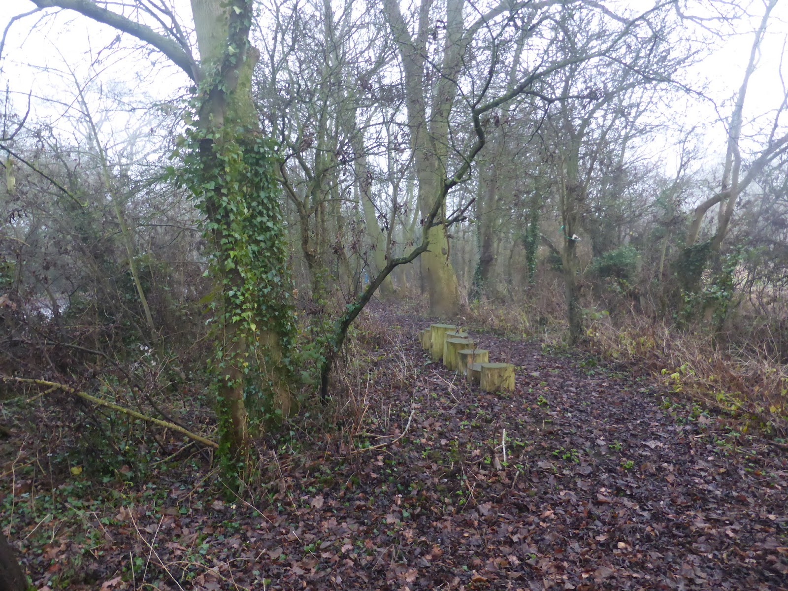 Leicestershire Round Walk 2016 Walk 12 High Cross to Claybrooke Magna