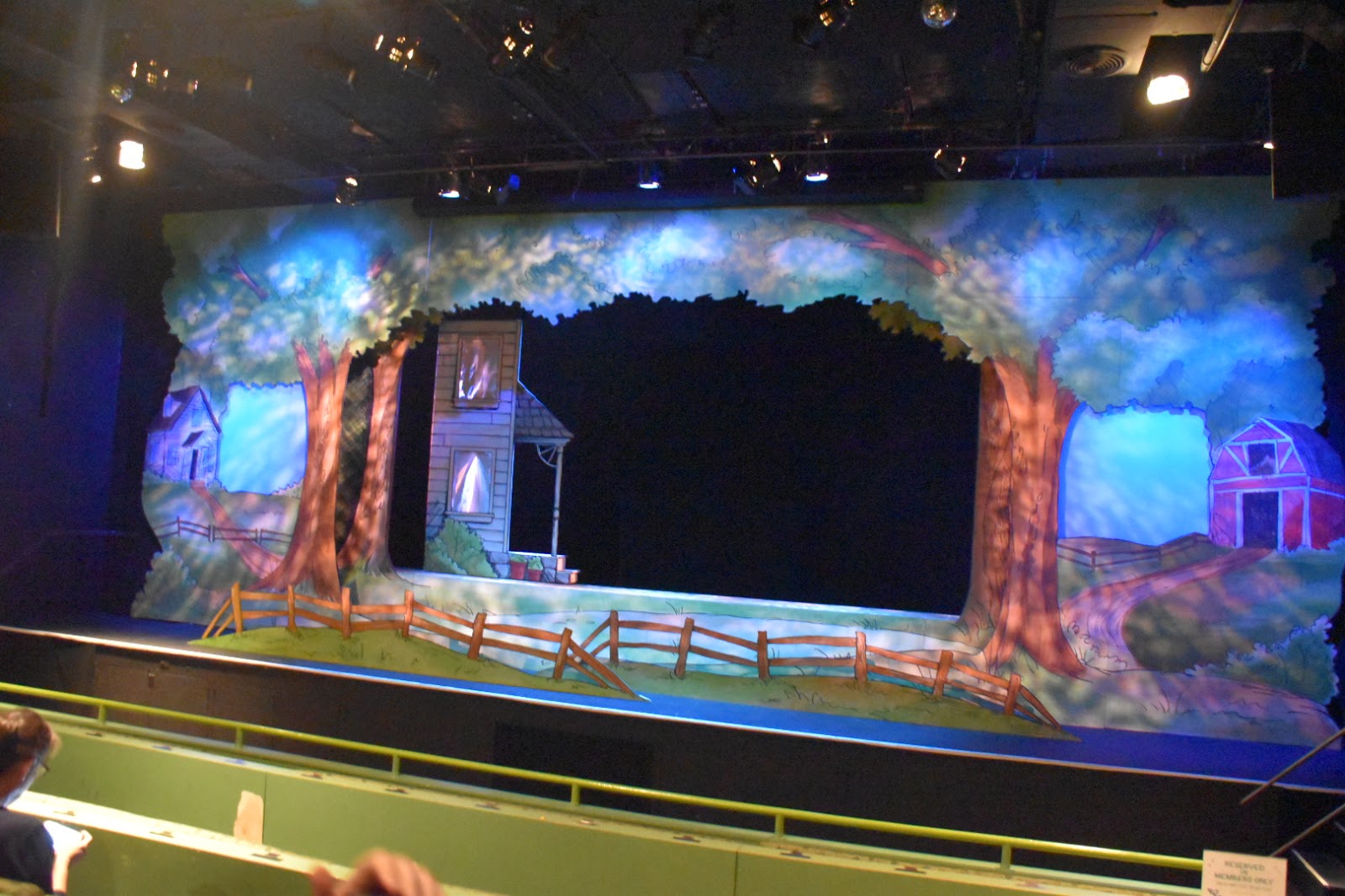 Charlotte's  Performance at Center for Puppetry Arts Recap