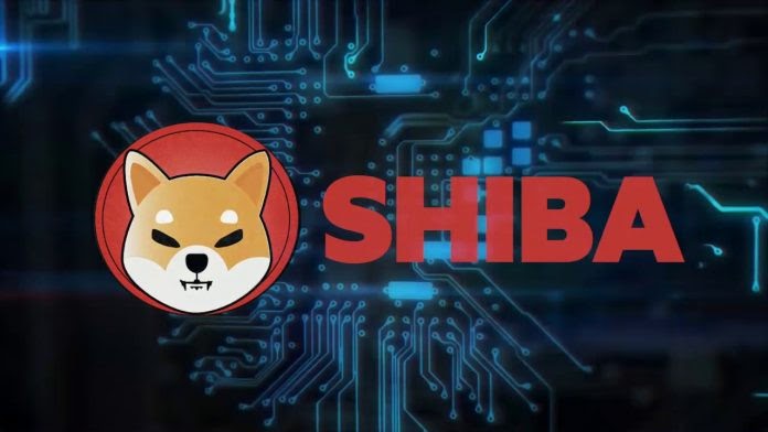 How to stake shiba inu coin binance