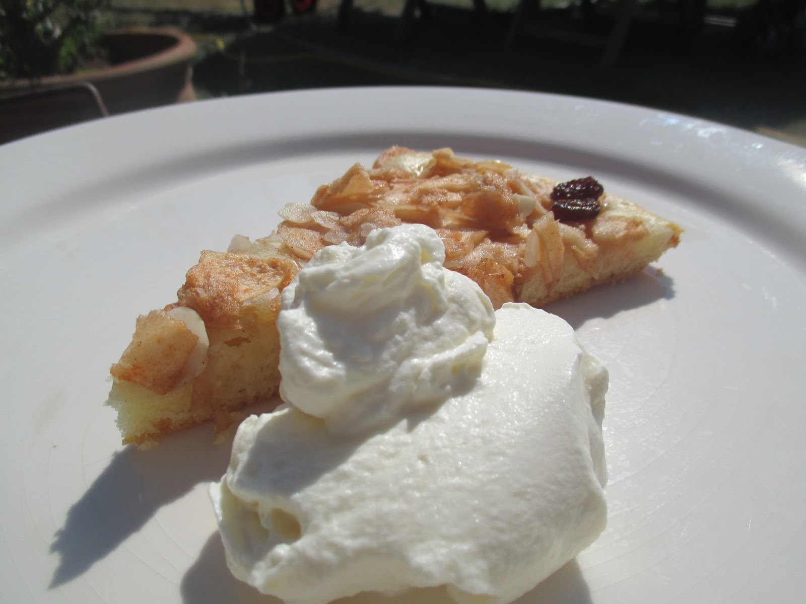 Gehobelter Apfelkuchen mit Mandeln und Rosinen – glatzkoch.de