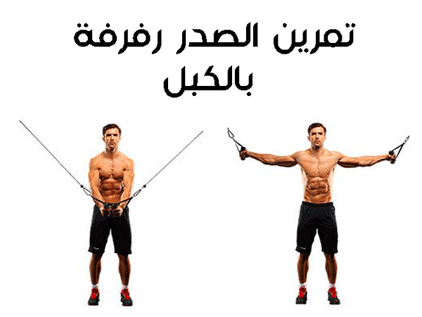 تمارين الصدر تمارين الصدر