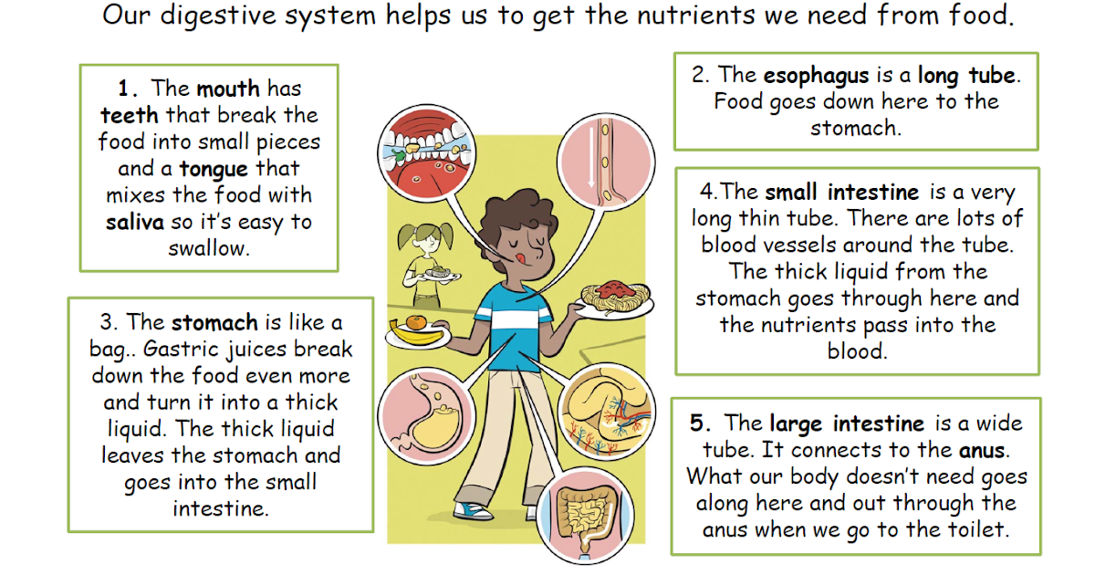 WELCOME TO OUR ENGLISH BLOG! THIRD GRADE IS GREAT! : 16/4. NATURAL