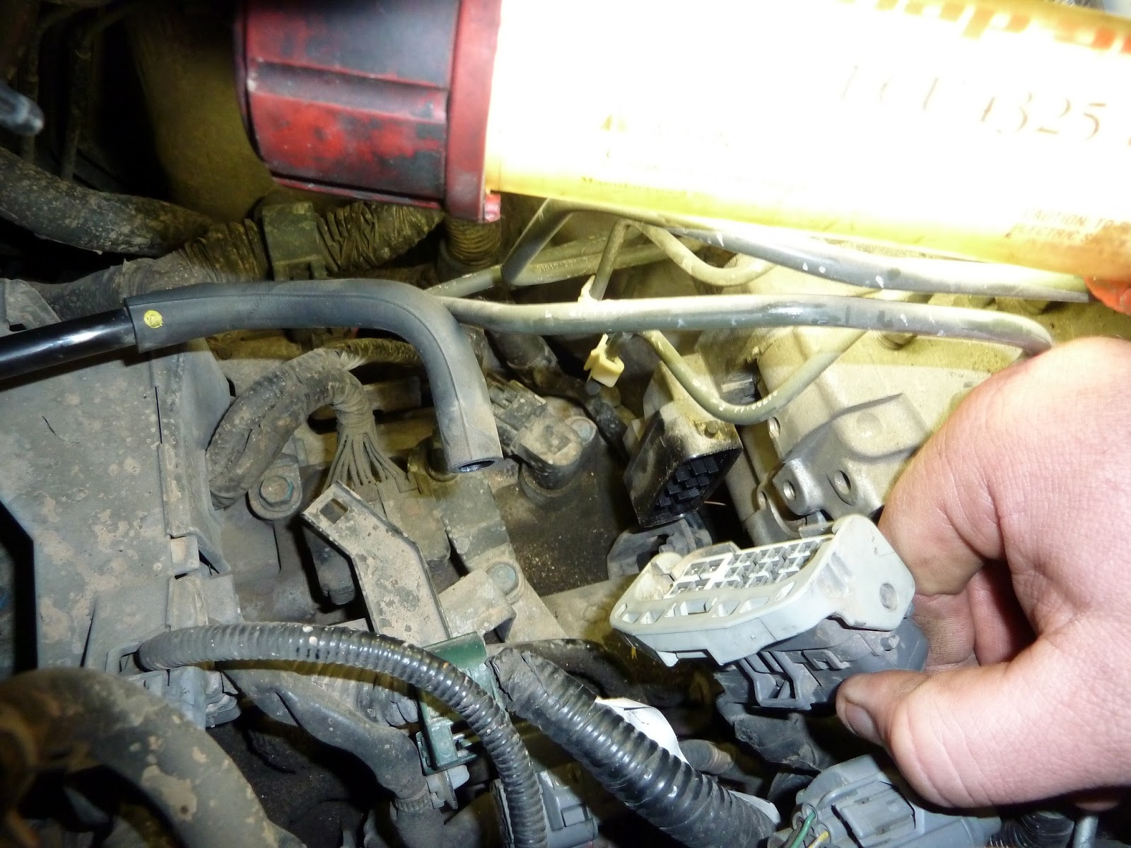 The Bug Boys: The Honda Odysseys transmission filter they don't tell